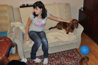 NADIM jamniki Kollapsar